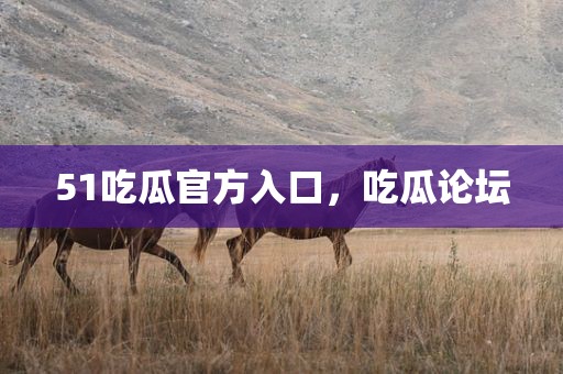 51吃瓜官方入口，吃瓜论坛