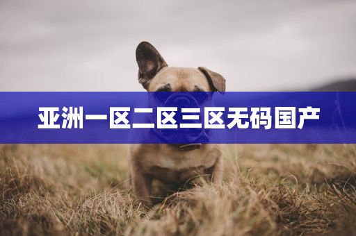 亚洲一区二区三区无码国产