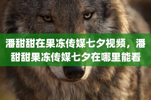 911爆料网，911爆料网八卦有理爆料无罪万里长征